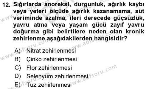 Temel Veteriner Farmakoloji ve Toksikoloji Dersi 2023 - 2024 Yılı (Final) Dönem Sonu Sınavı 12. Soru