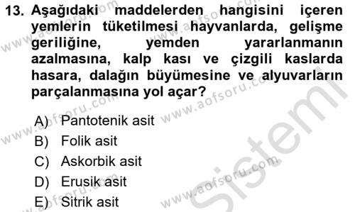 Temel Veteriner Farmakoloji ve Toksikoloji Dersi 2023 - 2024 Yılı (Final) Dönem Sonu Sınavı 13. Soru