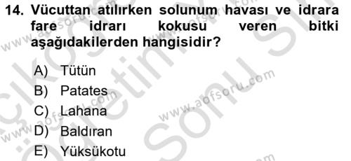 Temel Veteriner Farmakoloji ve Toksikoloji Dersi 2023 - 2024 Yılı (Final) Dönem Sonu Sınavı 14. Soru