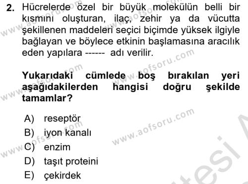 Temel Veteriner Farmakoloji ve Toksikoloji Dersi 2023 - 2024 Yılı (Final) Dönem Sonu Sınavı 2. Soru