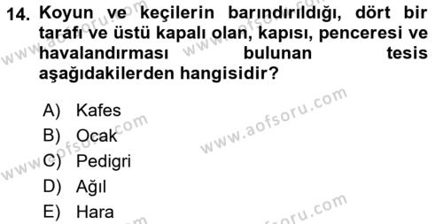 Veteriner Hizmetleri Mevzuatı ve Etik Dersi 2019 - 2020 Yılı (Final) Dönem Sonu Sınavı 14. Soru