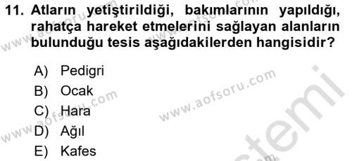 Veteriner Hizmetleri Mevzuatı ve Etik Dersi 2020 - 2021 Yılı Yaz Okulu Sınavı 11. Soru