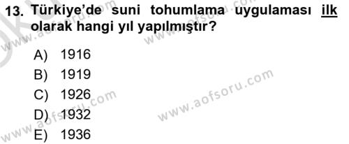 Veteriner Hizmetleri Mevzuatı ve Etik Dersi 2020 - 2021 Yılı Yaz Okulu Sınavı 13. Soru