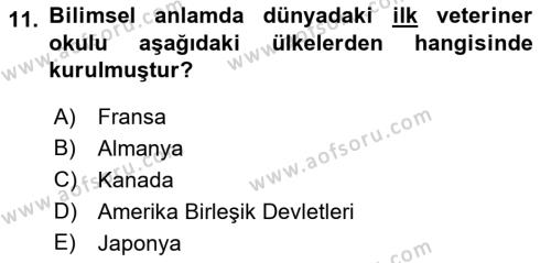 Veteriner Hizmetleri Mevzuatı ve Etik Dersi 2021 - 2022 Yılı (Vize) Ara Sınavı 11. Soru