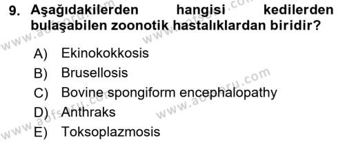 Veteriner Hizmetleri Mevzuatı ve Etik Dersi 2021 - 2022 Yılı (Final) Dönem Sonu Sınavı 9. Soru