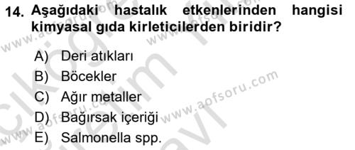 Veteriner Hizmetleri Mevzuatı ve Etik Dersi 2021 - 2022 Yılı Yaz Okulu Sınavı 14. Soru