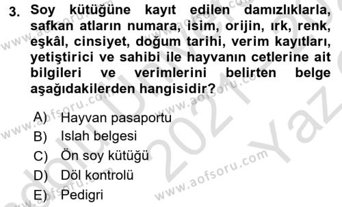 Veteriner Hizmetleri Mevzuatı ve Etik Dersi 2021 - 2022 Yılı Yaz Okulu Sınavı 3. Soru