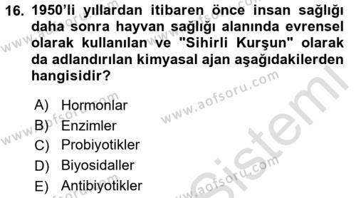 Veteriner Hizmetleri Mevzuatı ve Etik Dersi 2022 - 2023 Yılı Yaz Okulu Sınavı 16. Soru