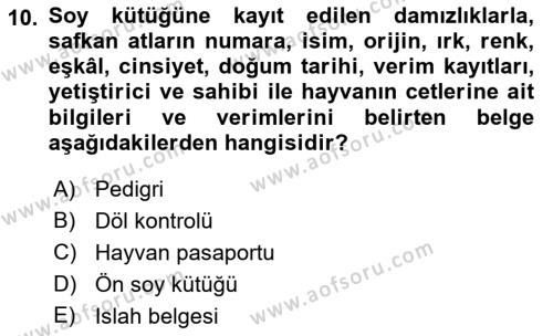 Veteriner Hizmetleri Mevzuatı ve Etik Dersi 2023 - 2024 Yılı (Final) Dönem Sonu Sınavı 10. Soru