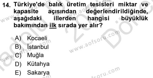 Veteriner Hizmetleri Mevzuatı ve Etik Dersi 2023 - 2024 Yılı (Final) Dönem Sonu Sınavı 14. Soru