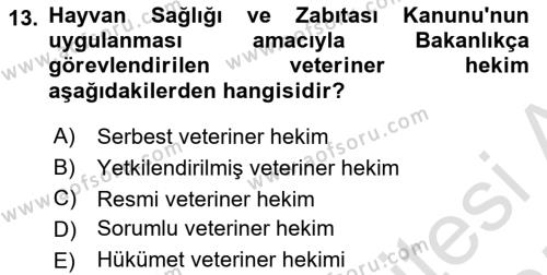 Veteriner Hizmetleri Mevzuatı ve Etik Dersi 2024 - 2025 Yılı (Vize) Ara Sınavı 13. Soru