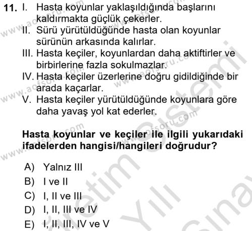 Temel Klinik Bilgisi Dersi 2021 - 2022 Yılı (Final) Dönem Sonu Sınavı 11. Soru