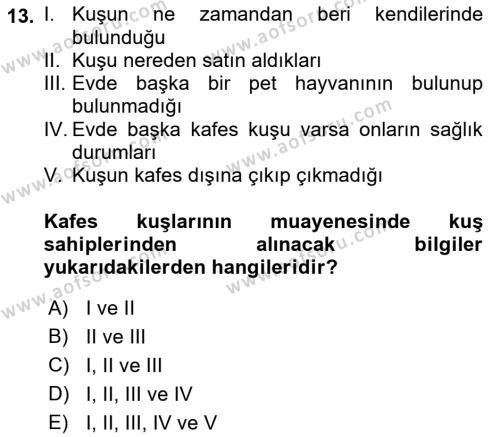 Temel Klinik Bilgisi Dersi 2021 - 2022 Yılı (Final) Dönem Sonu Sınavı 13. Soru