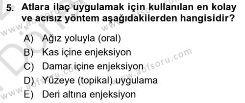 Temel Klinik Bilgisi Dersi 2021 - 2022 Yılı (Final) Dönem Sonu Sınavı 5. Soru