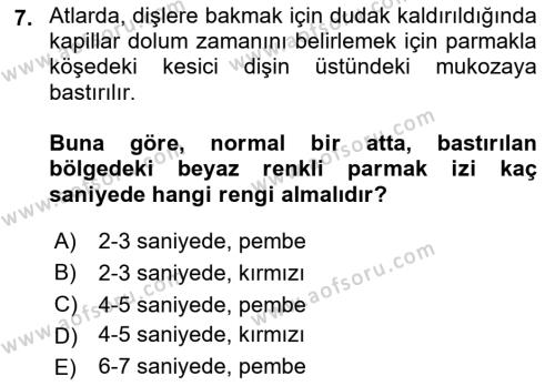 Temel Klinik Bilgisi Dersi 2021 - 2022 Yılı (Final) Dönem Sonu Sınavı 7. Soru