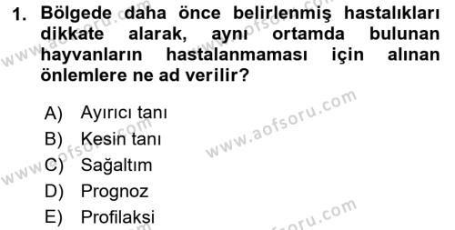 Temel Klinik Bilgisi Dersi 2021 - 2022 Yılı Yaz Okulu Sınavı 1. Soru