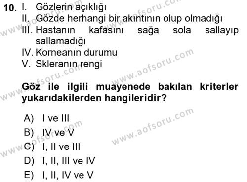 Temel Klinik Bilgisi Dersi 2021 - 2022 Yılı Yaz Okulu Sınavı 10. Soru