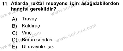 Temel Klinik Bilgisi Dersi 2021 - 2022 Yılı Yaz Okulu Sınavı 11. Soru