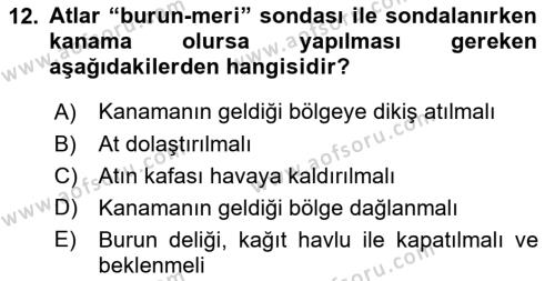 Temel Klinik Bilgisi Dersi 2021 - 2022 Yılı Yaz Okulu Sınavı 12. Soru