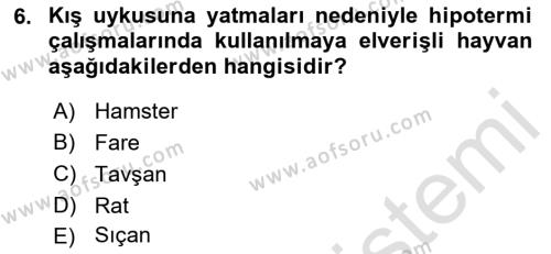 Temel Klinik Bilgisi Dersi 2021 - 2022 Yılı Yaz Okulu Sınavı 6. Soru