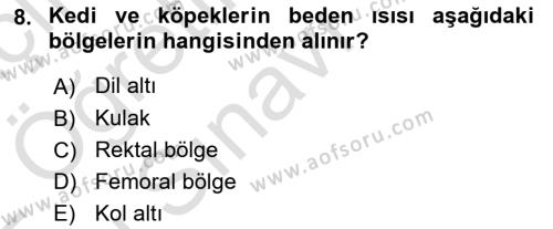 Temel Klinik Bilgisi Dersi 2021 - 2022 Yılı Yaz Okulu Sınavı 8. Soru