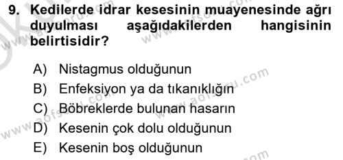 Temel Klinik Bilgisi Dersi 2021 - 2022 Yılı Yaz Okulu Sınavı 9. Soru