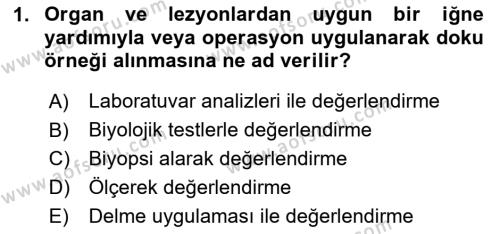 Temel Klinik Bilgisi Dersi 2023 - 2024 Yılı (Vize) Ara Sınavı 1. Soru