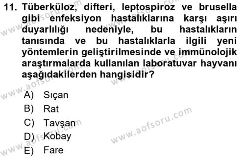 Temel Klinik Bilgisi Dersi 2023 - 2024 Yılı (Vize) Ara Sınavı 11. Soru