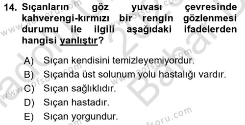 Temel Klinik Bilgisi Dersi 2023 - 2024 Yılı (Vize) Ara Sınavı 14. Soru