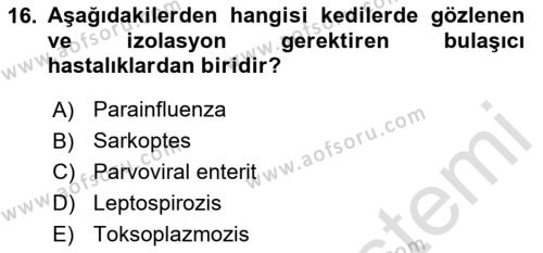 Temel Klinik Bilgisi Dersi 2023 - 2024 Yılı (Vize) Ara Sınavı 16. Soru