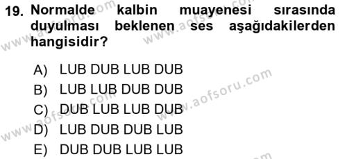 Temel Klinik Bilgisi Dersi 2023 - 2024 Yılı (Vize) Ara Sınavı 19. Soru