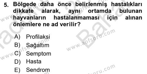 Temel Klinik Bilgisi Dersi 2023 - 2024 Yılı (Vize) Ara Sınavı 5. Soru