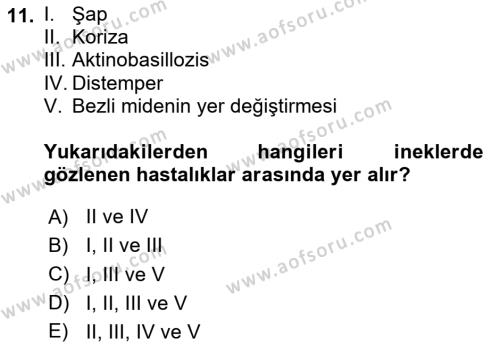 Temel Klinik Bilgisi Dersi 2023 - 2024 Yılı (Final) Dönem Sonu Sınavı 11. Soru