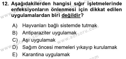 Temel Klinik Bilgisi Dersi 2023 - 2024 Yılı (Final) Dönem Sonu Sınavı 12. Soru