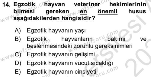 Temel Klinik Bilgisi Dersi 2023 - 2024 Yılı (Final) Dönem Sonu Sınavı 14. Soru