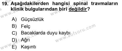 Temel Klinik Bilgisi Dersi 2023 - 2024 Yılı (Final) Dönem Sonu Sınavı 19. Soru