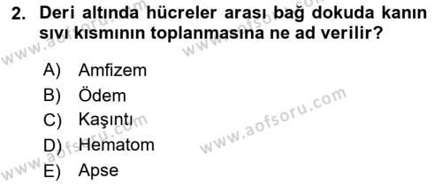 Temel Klinik Bilgisi Dersi 2023 - 2024 Yılı (Final) Dönem Sonu Sınavı 2. Soru