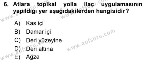 Temel Klinik Bilgisi Dersi 2023 - 2024 Yılı (Final) Dönem Sonu Sınavı 6. Soru