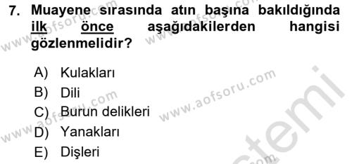 Temel Klinik Bilgisi Dersi 2023 - 2024 Yılı (Final) Dönem Sonu Sınavı 7. Soru