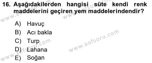 Temel Yem Bilgisi ve Hayvan Besleme Dersi 2021 - 2022 Yılı Yaz Okulu Sınavı 16. Soru