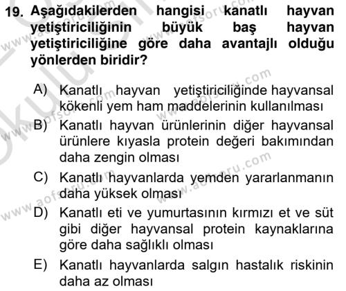 Temel Yem Bilgisi ve Hayvan Besleme Dersi 2021 - 2022 Yılı Yaz Okulu Sınavı 19. Soru