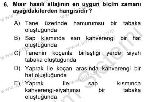 Temel Yem Bilgisi ve Hayvan Besleme Dersi 2021 - 2022 Yılı Yaz Okulu Sınavı 6. Soru