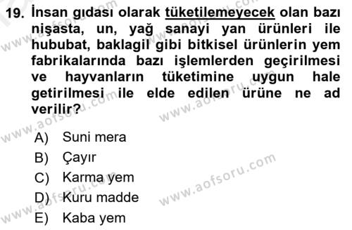 Hayvancılık Ekonomisi Dersi 2018 - 2019 Yılı (Final) Dönem Sonu Sınavı 19. Soru