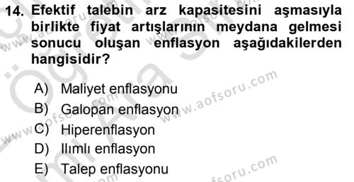 Hayvancılık Ekonomisi Dersi 2021 - 2022 Yılı (Vize) Ara Sınavı 14. Soru