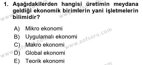 Hayvancılık Ekonomisi Dersi 2023 - 2024 Yılı (Final) Dönem Sonu Sınavı 1. Soru