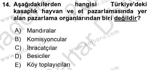 Hayvancılık Ekonomisi Dersi 2023 - 2024 Yılı (Final) Dönem Sonu Sınavı 14. Soru