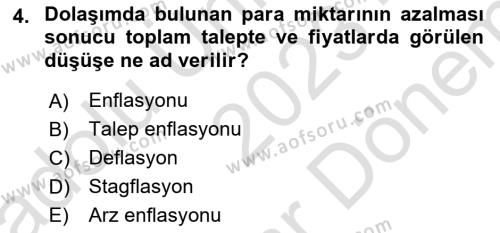 Hayvancılık Ekonomisi Dersi 2023 - 2024 Yılı (Final) Dönem Sonu Sınavı 4. Soru