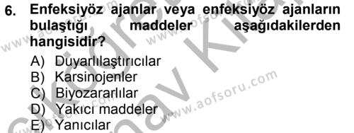 Temel Veteriner Patoloji Dersi 2012 - 2013 Yılı (Vize) Ara Sınavı 6. Soru