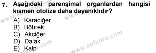 Temel Veteriner Patoloji Dersi 2012 - 2013 Yılı (Vize) Ara Sınavı 7. Soru