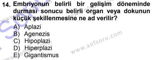 Temel Veteriner Patoloji Dersi 2012 - 2013 Yılı (Final) Dönem Sonu Sınavı 14. Soru